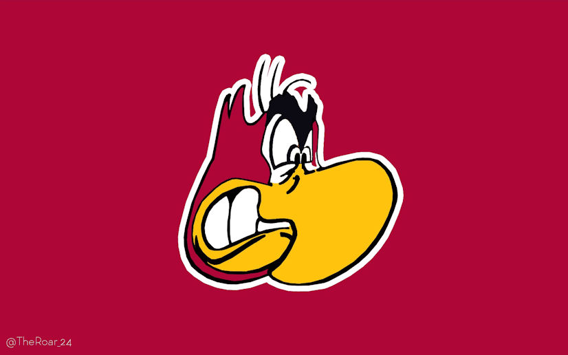Iago Arizona Cardinals Logo fabric transfer